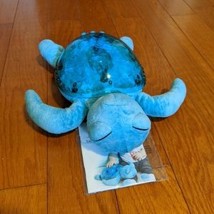 Sleepy Turtle